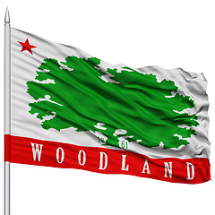 Image showing Woodland City Flag on Flagpole, USA