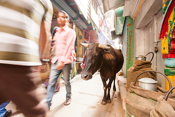 Image showing Passerby and cow, Varanasi, India