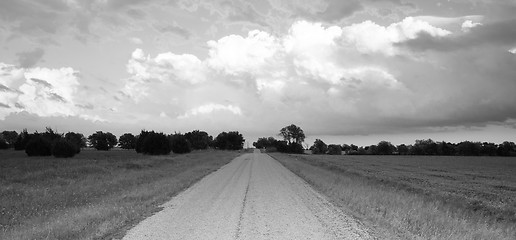 Image showing Panoramic Open Graven Road Rural Texas Black and White