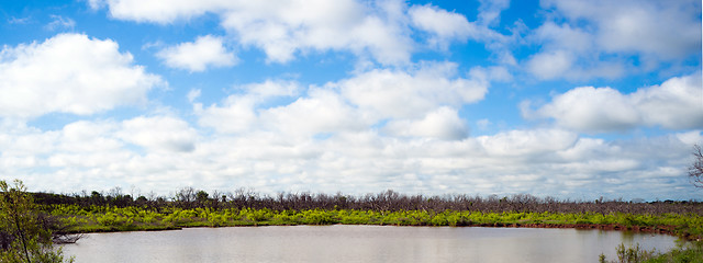 Image showing Ranch Pond Green Grass Blue Shy White Clouds