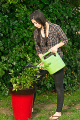 Image showing Portrait Woman Watering Plant Seedling Outdoor Growing Food