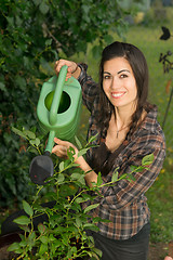 Image showing Portrait Woman Watering Plant Seedling Outdoor Growing Food