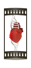 Image showing DNA and heart. 3d illustration. The film strip