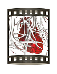 Image showing Human heart and veins. 3D illustration.. The film strip