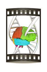 Image showing Brain and dna. 3d illustration. The film strip