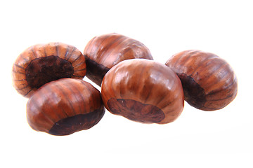 Image showing fresh edible chestnuts