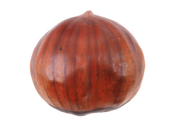 Image showing fresh edible chestnut