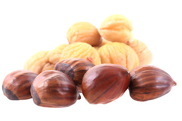 Image showing fresh edible chestnuts