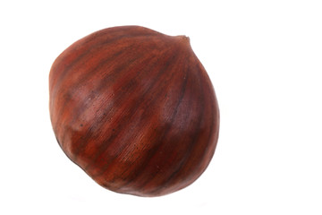 Image showing fresh edible chestnut