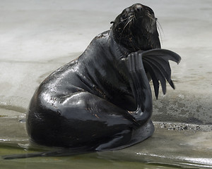 Image showing Thinker