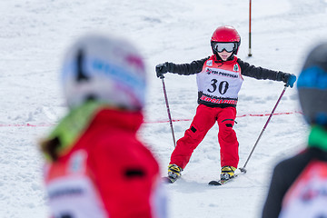 Image showing Mateus Tavares during the Ski National Championships