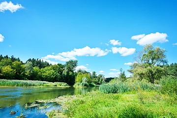 Image showing summer lake