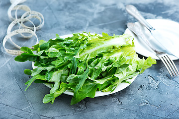 Image showing rucola