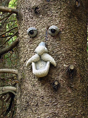 Image showing Face in a tree 11