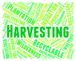 Image showing Harvesting Word Means Plants Plant And Harvests