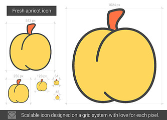 Image showing Fresh apricot line icon.