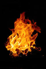 Image showing Burning fire