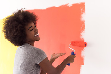 Image showing black woman painting wall