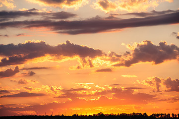 Image showing Sunset over meadow