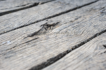 Image showing Old aged wood planks in perspective