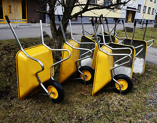 Image showing lot of empty new yellow garden wheelbarrows in the yard