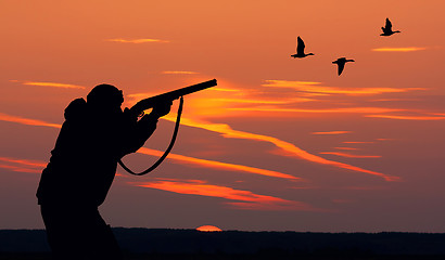 Image showing duck hunting