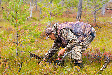 Image showing gathering cranberry