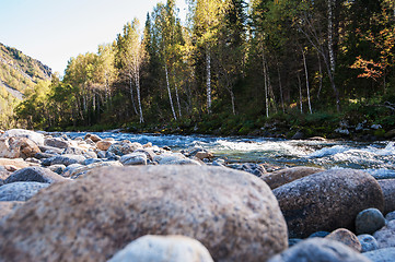 Image showing Fast mountain river in Altay