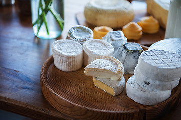 Image showing Set of different cheese