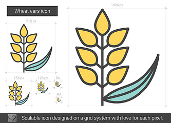 Image showing Wheat ears line icon.