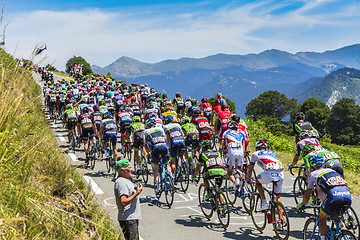 Image showing The Peloton on Col d'Aspin - Tour de France 2015