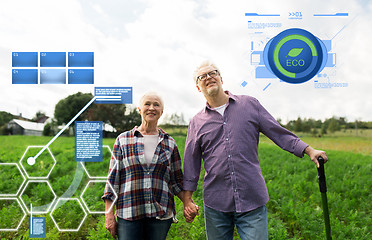 Image showing happy senior couple at summer farm