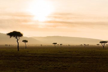 Image showing acacia trees in savannah at africa