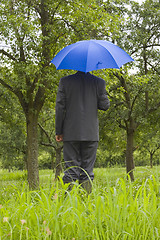 Image showing Businessman with blue umbrella