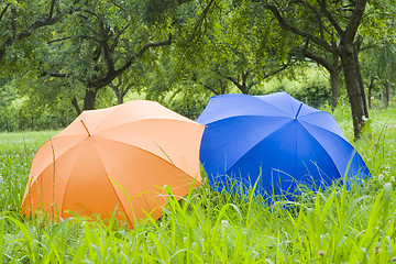 Image showing Orange and blue umbrellas