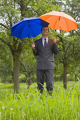 Image showing Businessman with blue and orange umbrellas