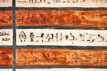 Image showing Ancient Hieroglyphic Script