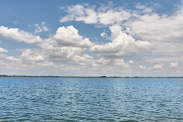 Image showing Water surface with plants