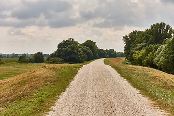 Image showing Dirtroad through on a dike