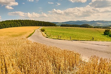 Image showing Road through farmlands