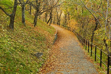 Image showing Autumn park path