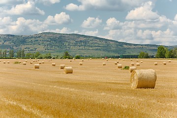 Image showing Agricultural field with bales