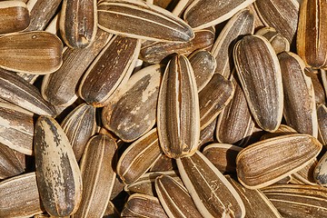 Image showing Sunflower seed in a pile