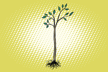 Image showing tree seedling with green leaves