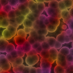 Image showing Bacterial cells