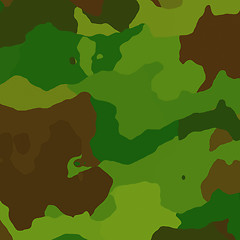 Image showing Camouflage pattern