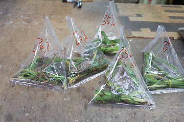 Image showing Crickets in Bags