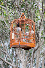 Image showing Birdcage