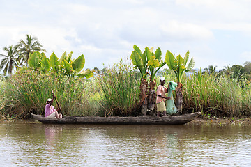 Image showing Life in madagascar countryside on river