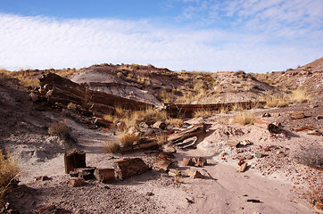 Image showing Petrified-Forest-National-Park, Arizona, USA